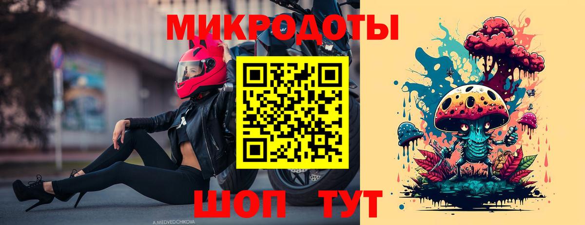 Псилоцибиновые грибы Psilocybe Старая Купавна