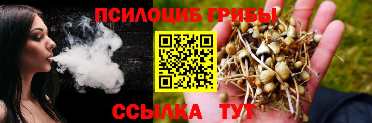 Старая Купавна  Псилоцибиновые грибы Psilocybine cubensis  наркотики  Вход с VPN 
